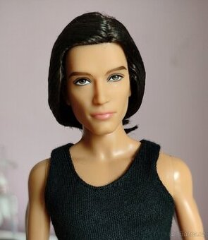 Barbie Basics Ken sběratelský kolekce 002 model 15
