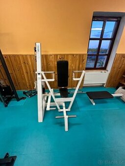 Prsa tlak - tlaky na prsa - chest press - 1
