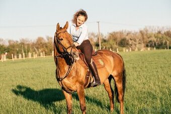 REZERVACE- Kobylka na sport, chov i rekreaci