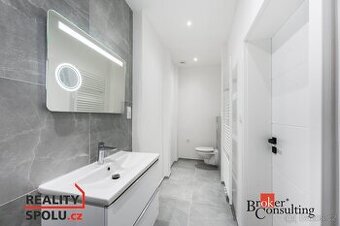 Pronájem, byty/1+1, 47 m2, 28. října 437/217, Mariánské Hory