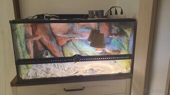 Terarium Agama vousata + svetla, pisek atd