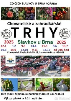 TRHY SLAVKOV U BRNA