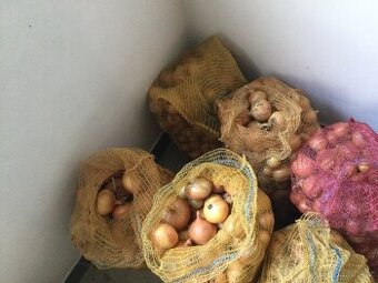 Cibule na uskladnění