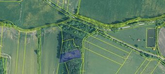 Prodej lesa 3594m2 - 1