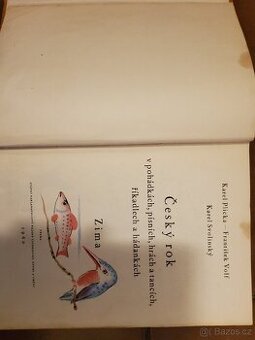 Knížky pro děti (české)