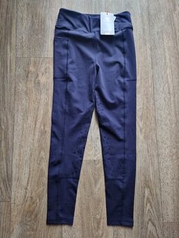 Jezdecké leginy Aubrion