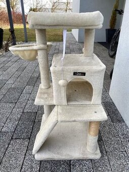 kočičí strom Feandrea