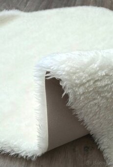 FOTOREKVIZITY - KOŽEŠINKA BÍLÁ