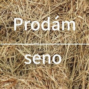 Seno