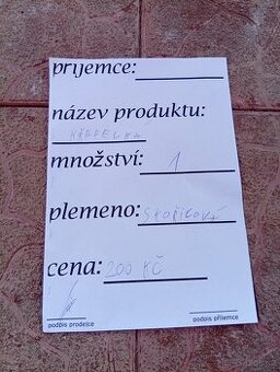 Křepelka skořicová