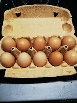 Vejce domácí