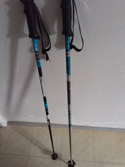 Lyžařské hole (hůlky) Rossignol