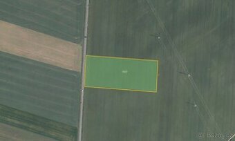 Zemědělská půda, prodej, Přímětice, Znojmo