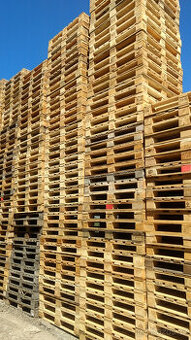 Řidič s řidičským průkazem B+E