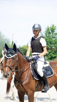 Sportovní kobylka na prodej