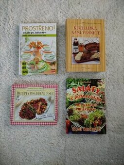 Recepty teplé i studené kuchyně