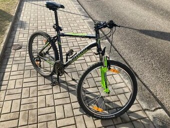 Horské kolo Autor 19