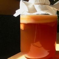 Kombucha