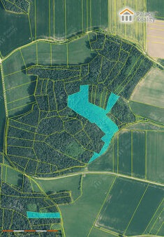 Prodej lesa 40.909 m2, obec Skály, okr. Strakonice