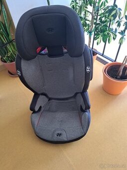 AUTOSEDAČKA