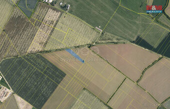 Prodej pole, 8491 m², Prostějov