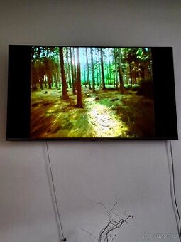 Televize JVC LT-65VGQ8435