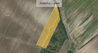 Prodej pole v k.ú. Hustopeče u Brna