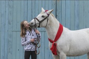 Pony kobylka 13let