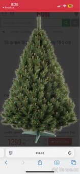 Borovice se stojanem 🎄 160cm