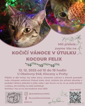 VÁNOCE V útulku KOCOUR FELIX 13.12. od 10 do 18hod