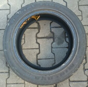 215/50 R17 - Minerva Radial F105