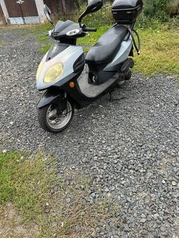 Prodám nebo vyměním