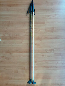 Dětské hůlky na běžky Fischer Junior 115 cm