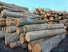 Palivové dřevo ❗❗❗