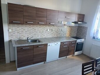 Pronájem bytu 2+1+k+hala, 100 m2