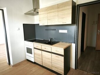 Pronájem bytu 1+1, ca36m2, s okny do zahrady, Chrastava