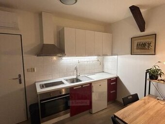 Pronájem bytu 1kk, 22 m2, zahrada, Mánesova ul., České Buděj