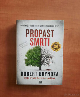 Robert Bryndza - Propast smrti