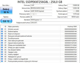 Disk INTEL SSDPEKKF256G8L 256 GB