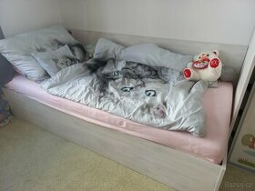 Dětská postel 2500Kč