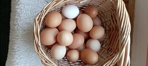 Slepičí vejce
