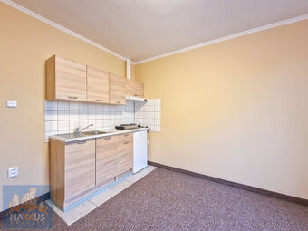 Dlouhodobý pronájem bytu 1+kk (22,5 m2) s parkovacím stáním,