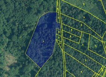 Lesní pozemek 10600 m2, Rabí - Čepice (Sušice)