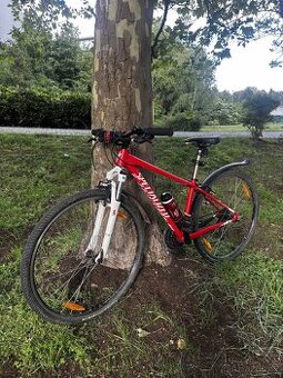 Kolo Specialized Crosstrail 28”