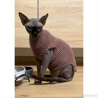 Oblečky pro Sphynx
