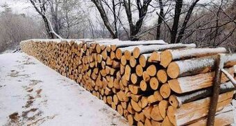 Palivové dřevo tvrdé káceno v zimě 2023