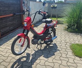 Manet korado NOVE 