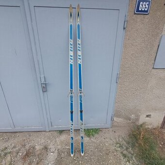 Retro lyže Artis Rubín 690