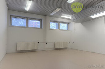 Pronájem obchodního/skladového prostoru 42,5 m²