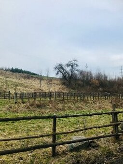 Poptávka ustájení